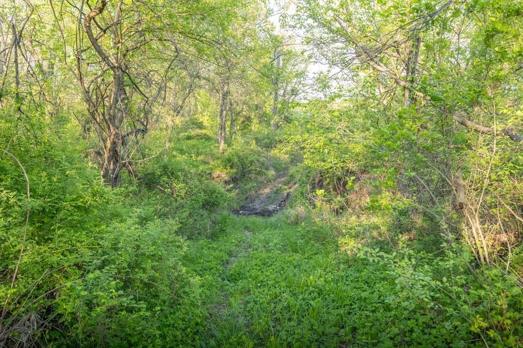 Bunker Hill Road — photo 31