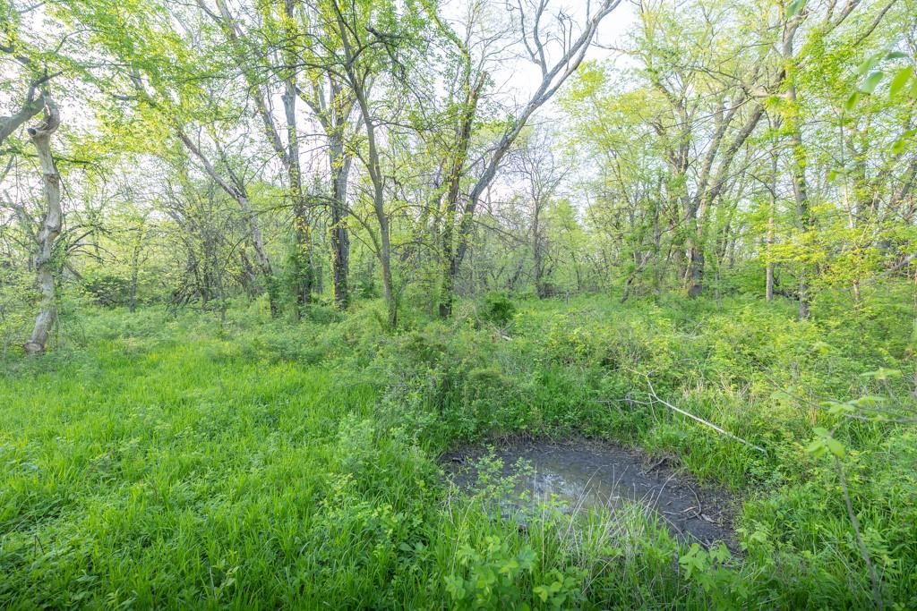 Bunker Hill Road — photo 33