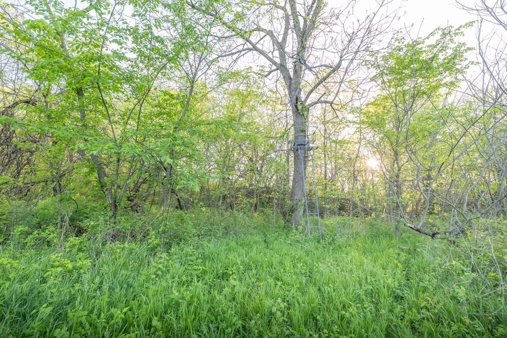 Bunker Hill Road — photo 37
