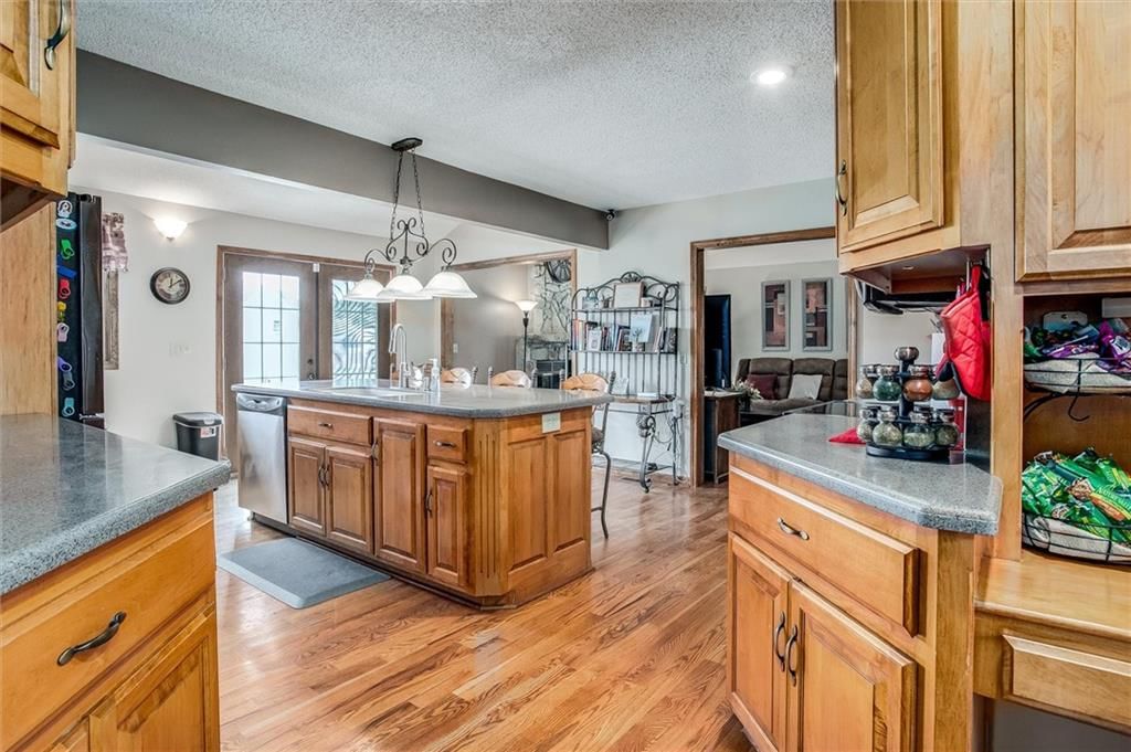 509 Trail Ridge Road — photo 6
