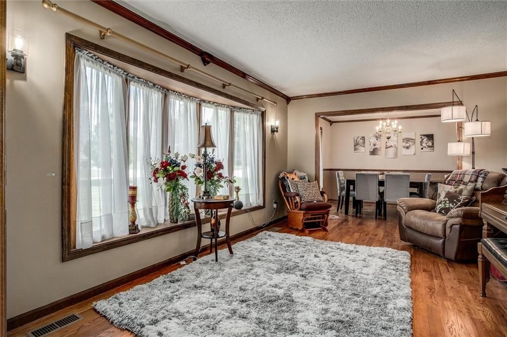 509 Trail Ridge Road — photo 10