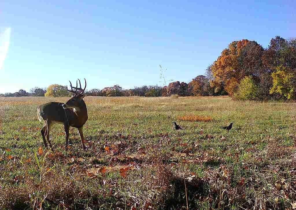 160 Acres M/L N 750 Road — photo 14