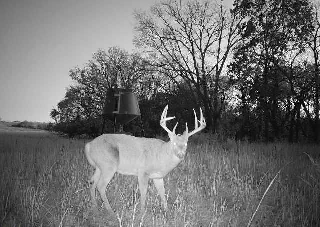 160 Acres M/L N 750 Road — photo 16