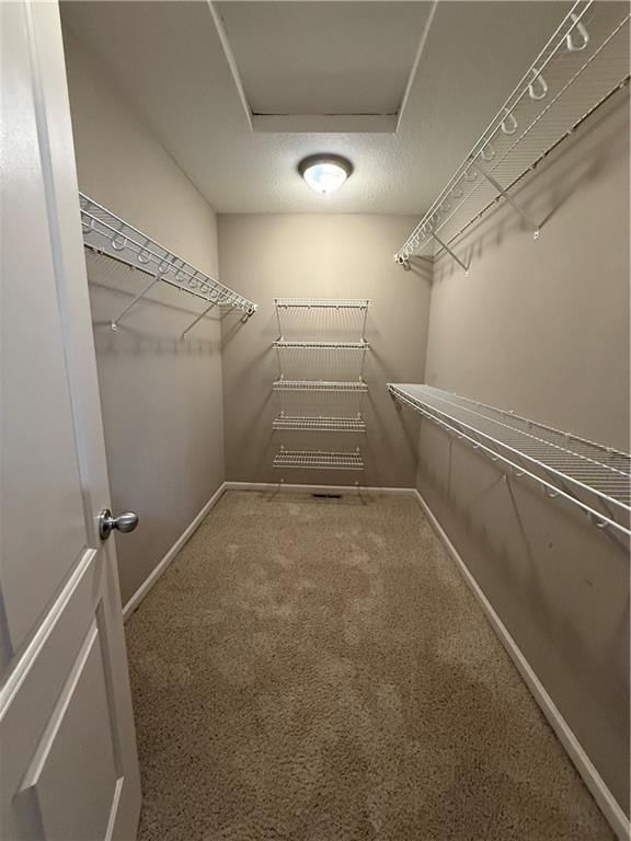 2411 Shenandoah Drive — photo 27