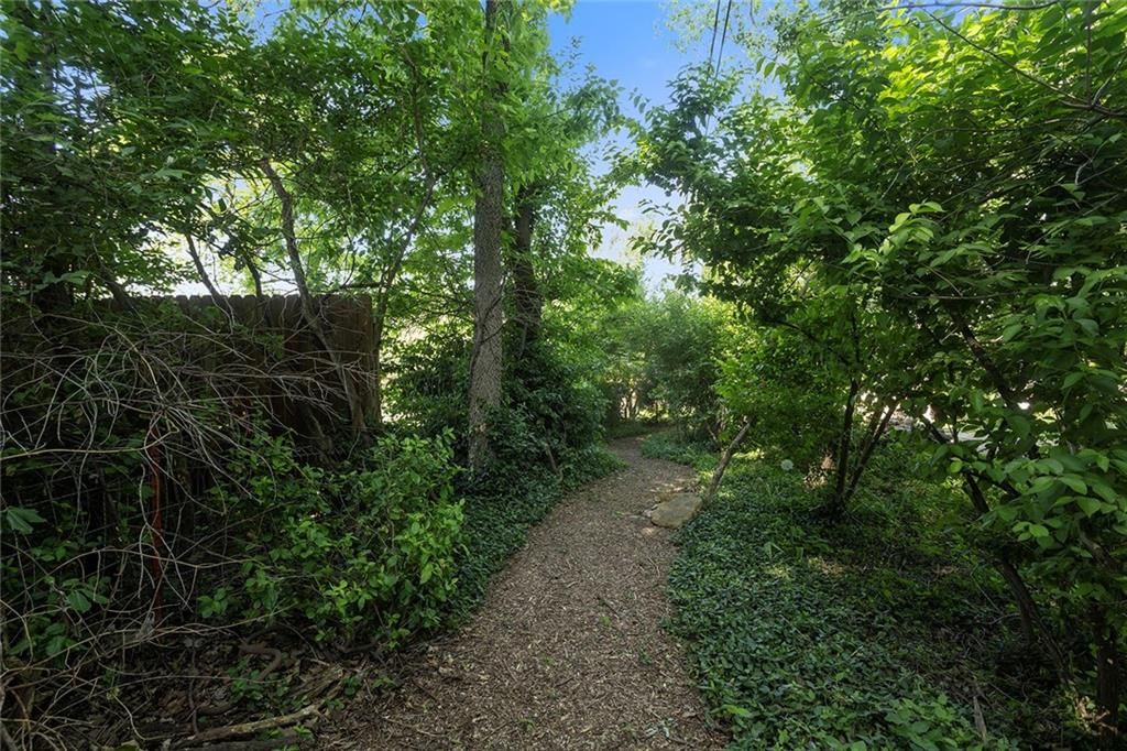 1135 ELIZABETH Street — photo 46