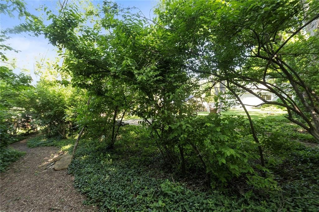 1135 ELIZABETH Street — photo 47