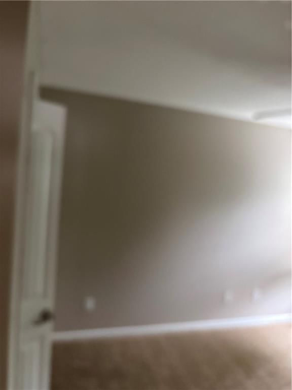 3216 Morton Lane — photo 47