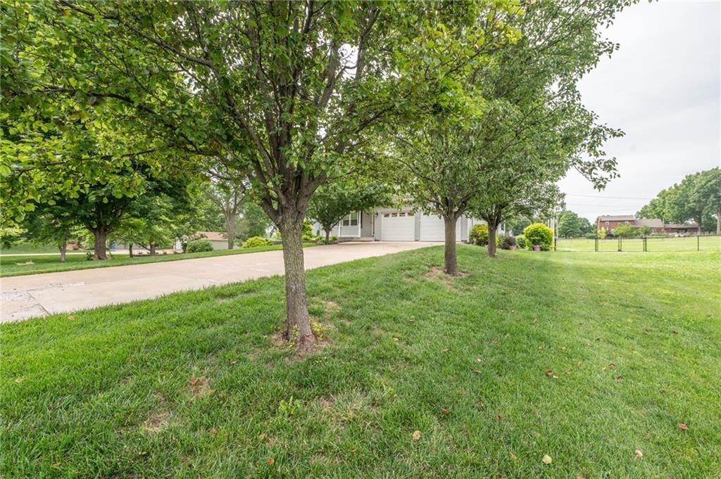 15143 Briarwood Drive — photo 5