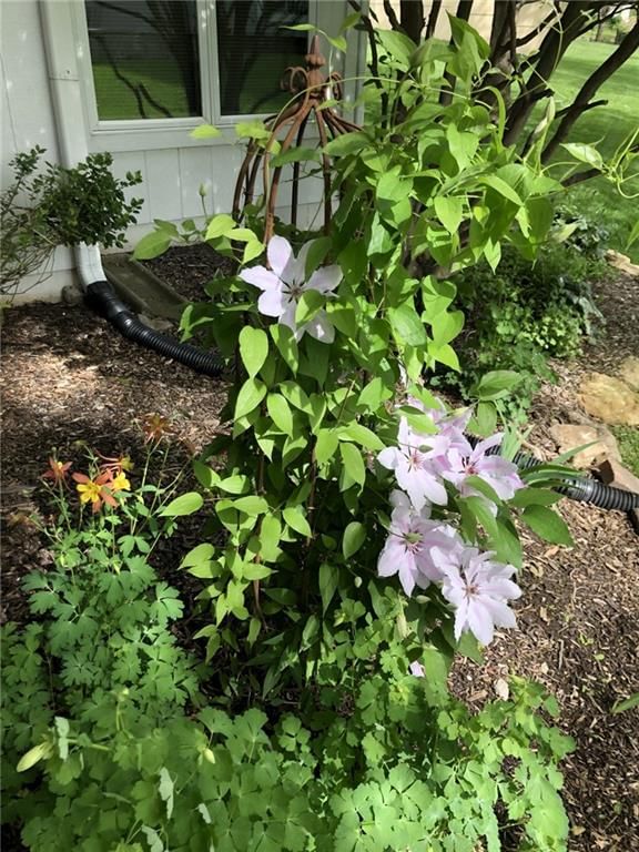 15423 Woodward Street — photo 36