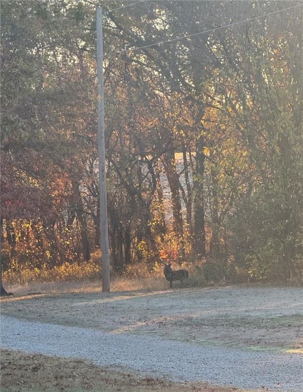 2083 CR 3500 N/A — photo 61
