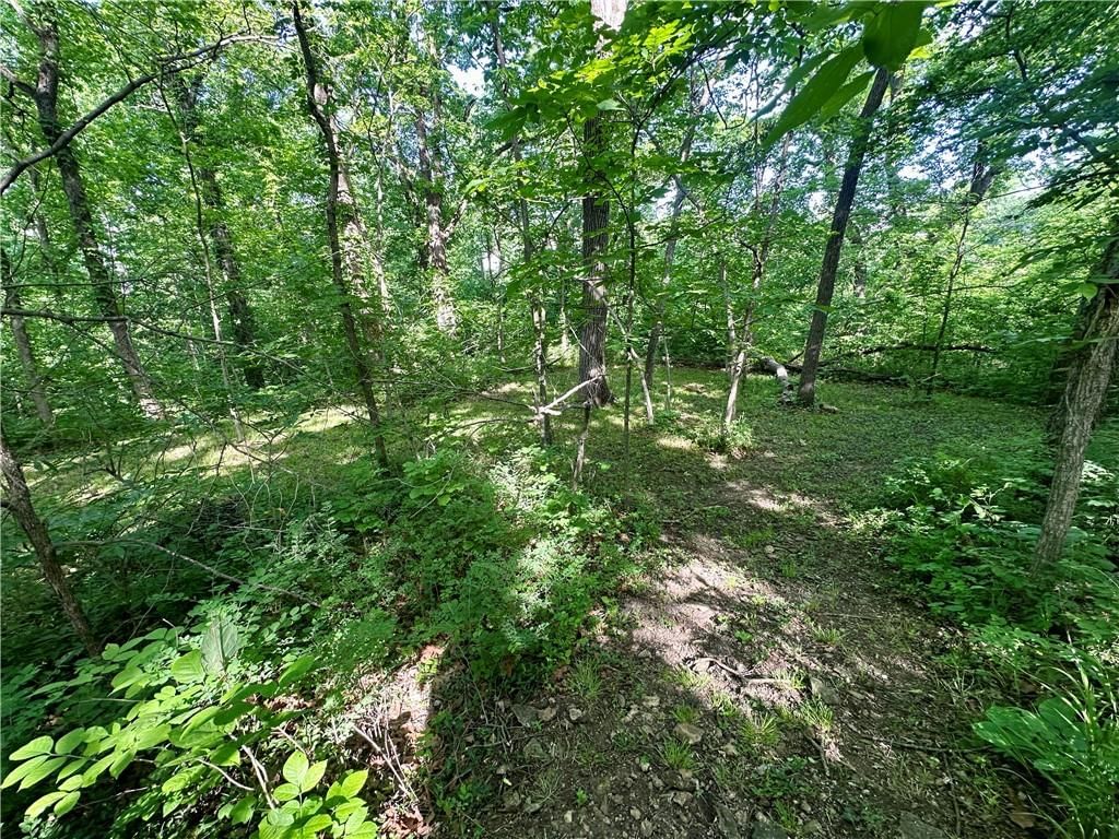 8360 Waverly Road — photo 30