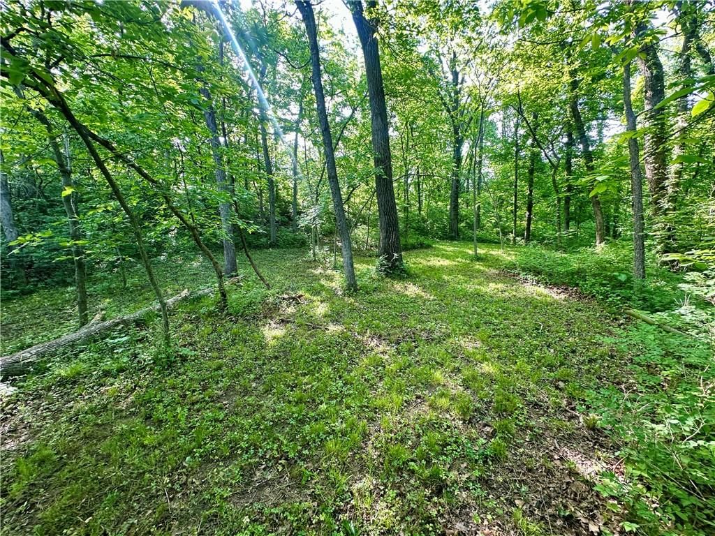 8360 Waverly Road — photo 32