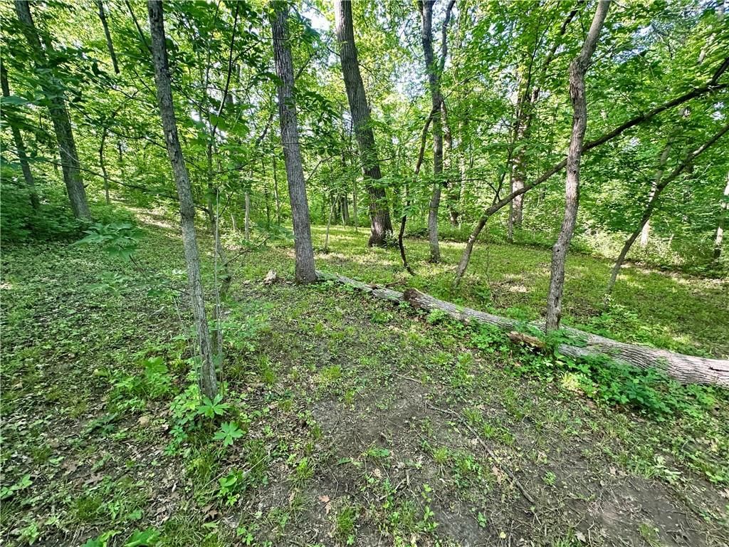 8360 Waverly Road — photo 35