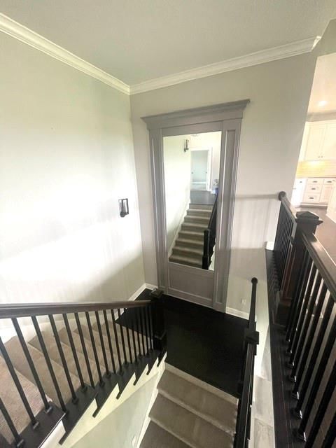4200 Castlegate Court — photo 40