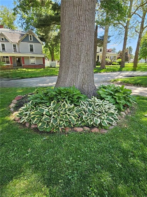 806 Elm Street — photo 5