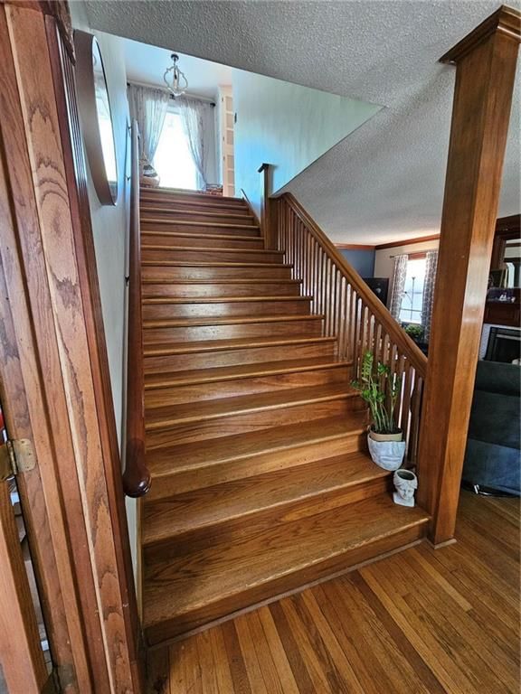 806 Elm Street — photo 8