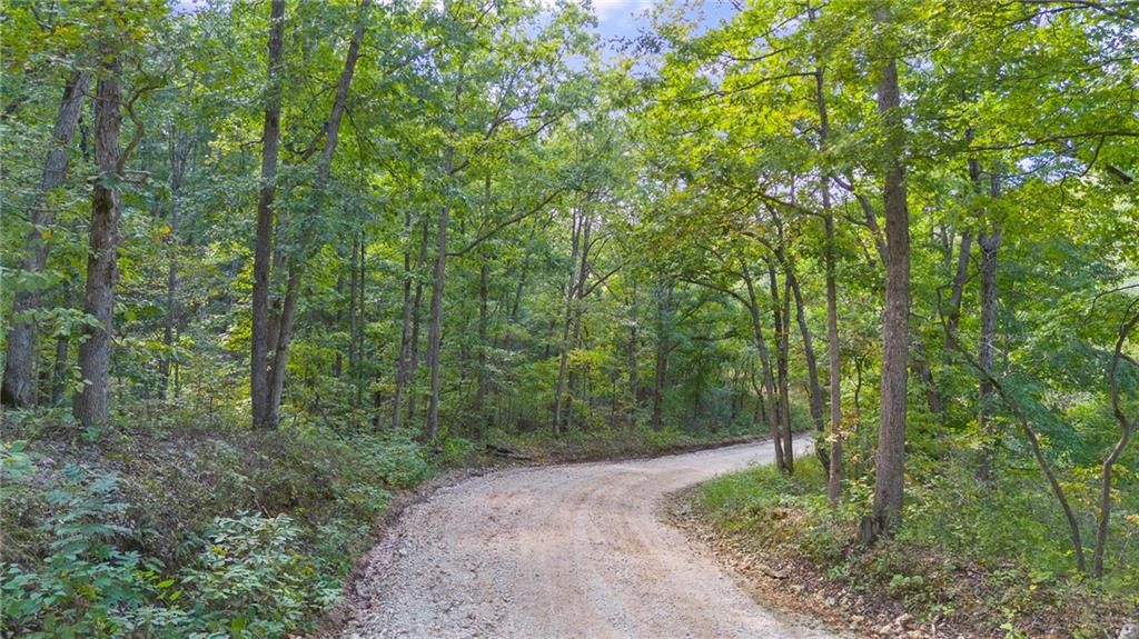 80 +/- Acres Proctor Lane — photo 2