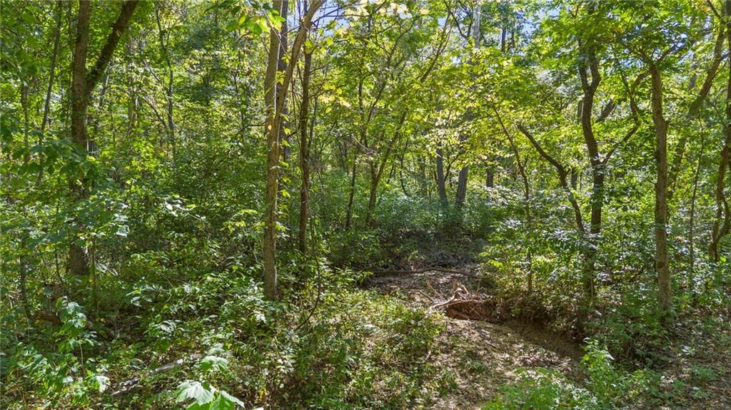 80 +/- Acres Proctor Lane — photo 3