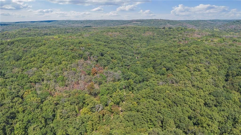 80 +/- Acres Proctor Lane — photo 4