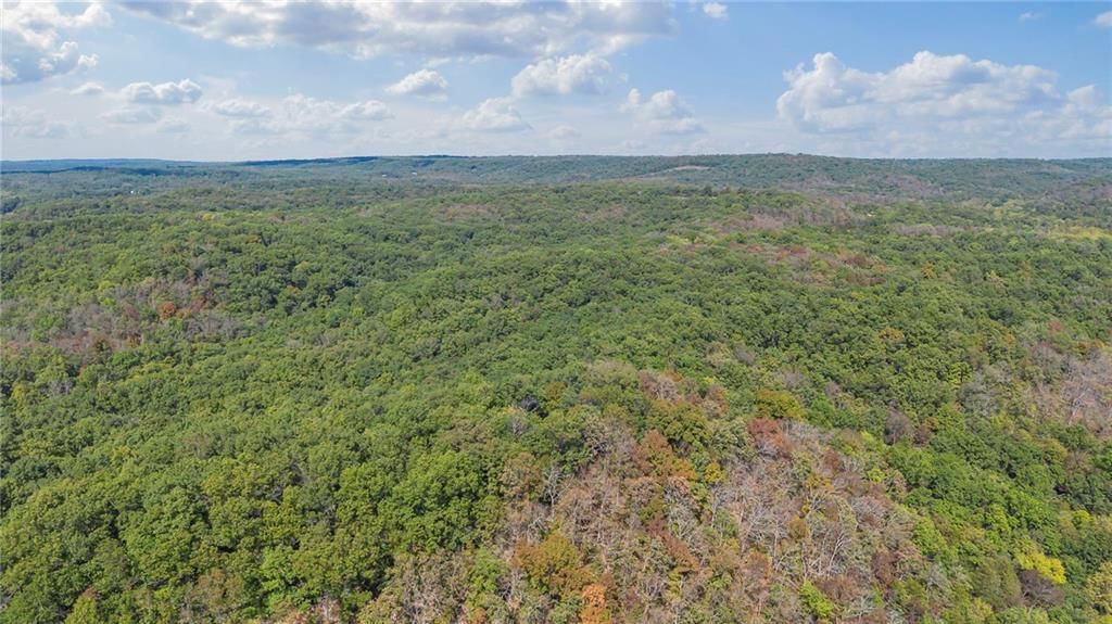 80 +/- Acres Proctor Lane — photo 5