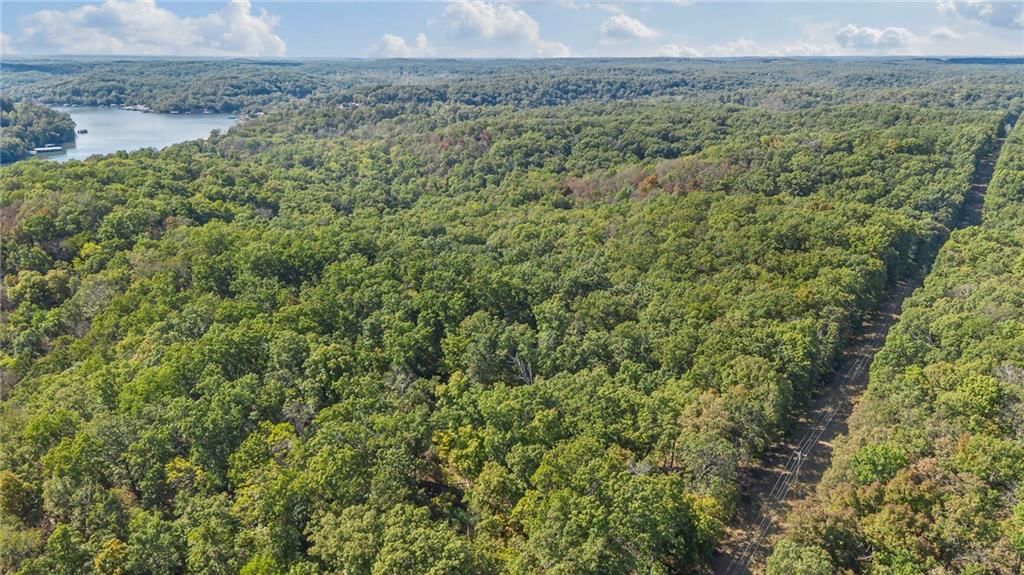 80 +/- Acres Proctor Lane — photo 6