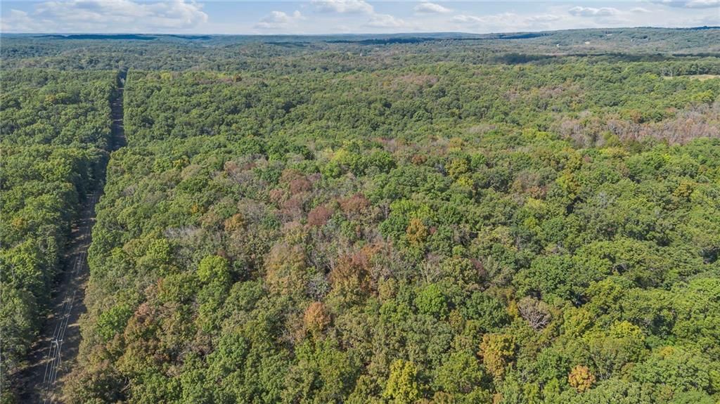80 +/- Acres Proctor Lane — photo 7