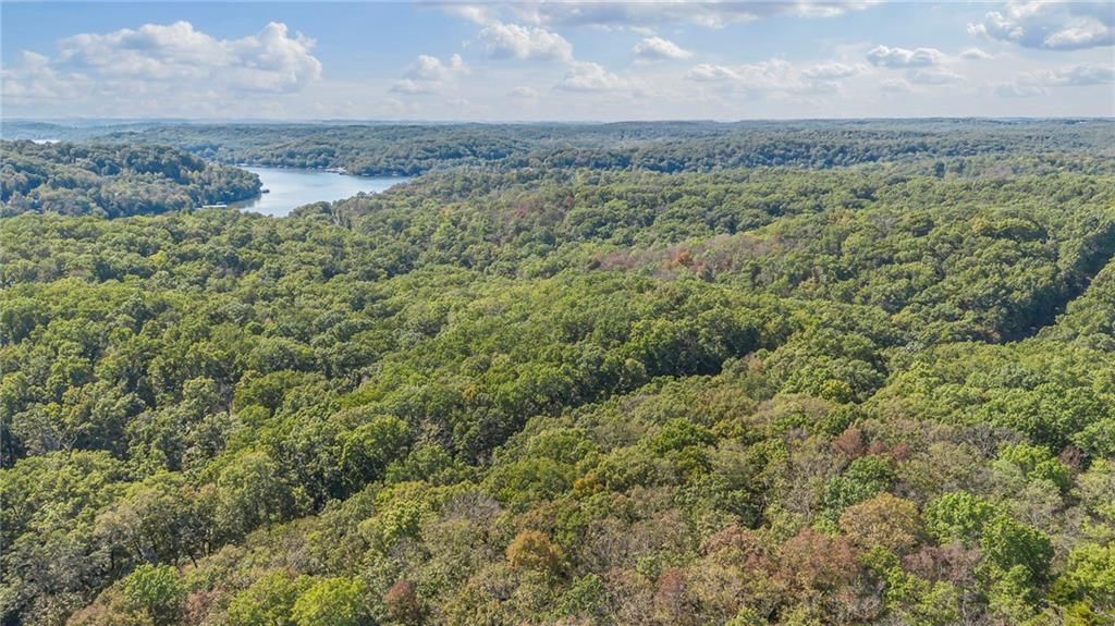 80 +/- Acres Proctor Lane — photo 8