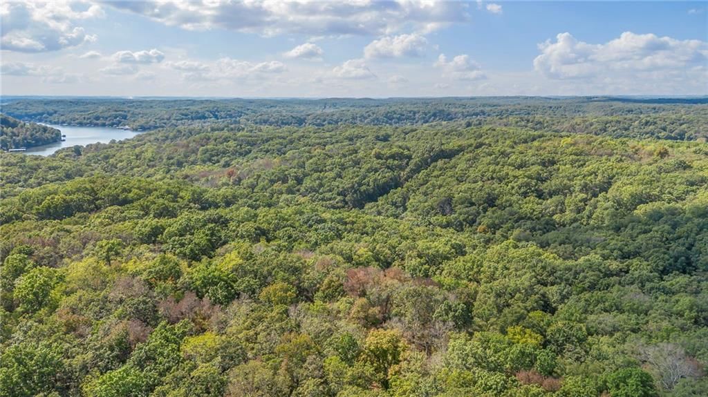 80 +/- Acres Proctor Lane — photo 9