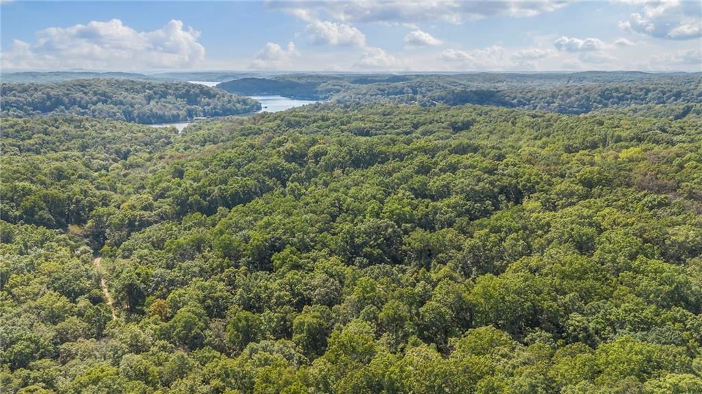 80 +/- Acres Proctor Lane — photo 10