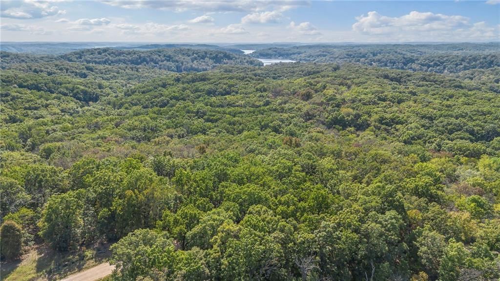 80 +/- Acres Proctor Lane — photo 11