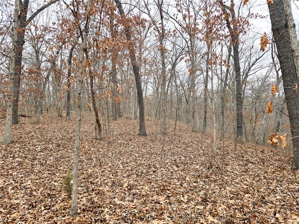 80 +/- Acres Proctor Lane — photo 12