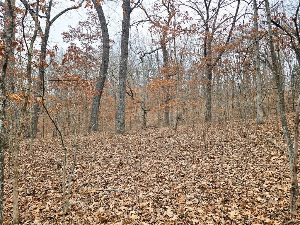 80 +/- Acres Proctor Lane — photo 13