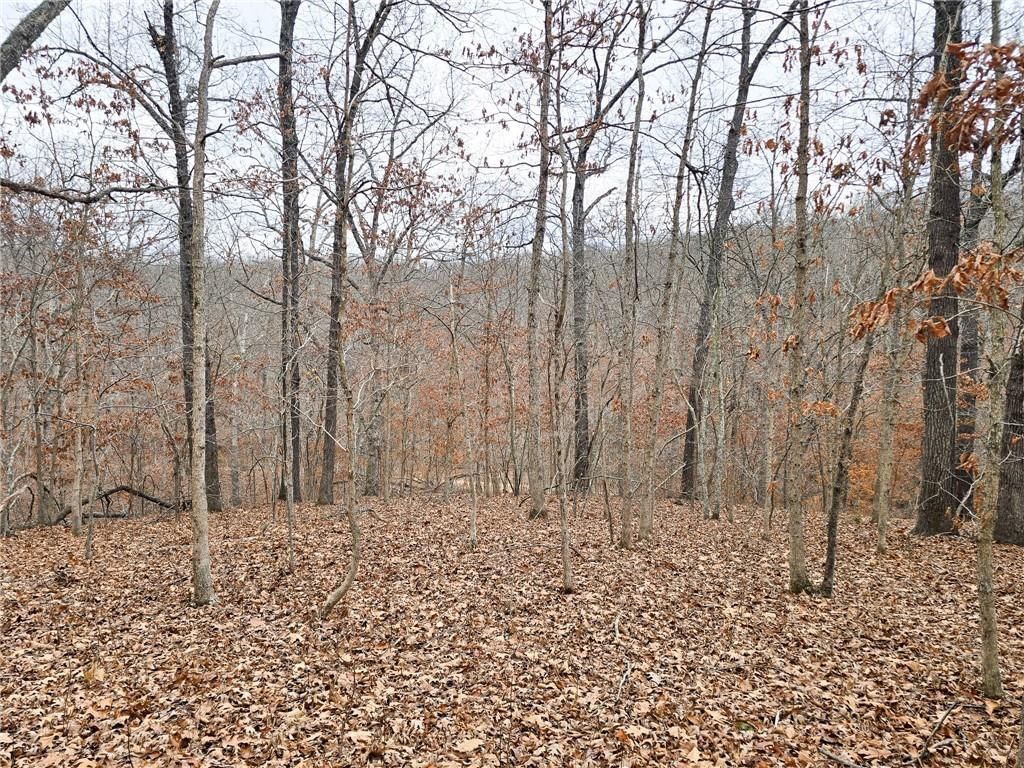 80 +/- Acres Proctor Lane — photo 14