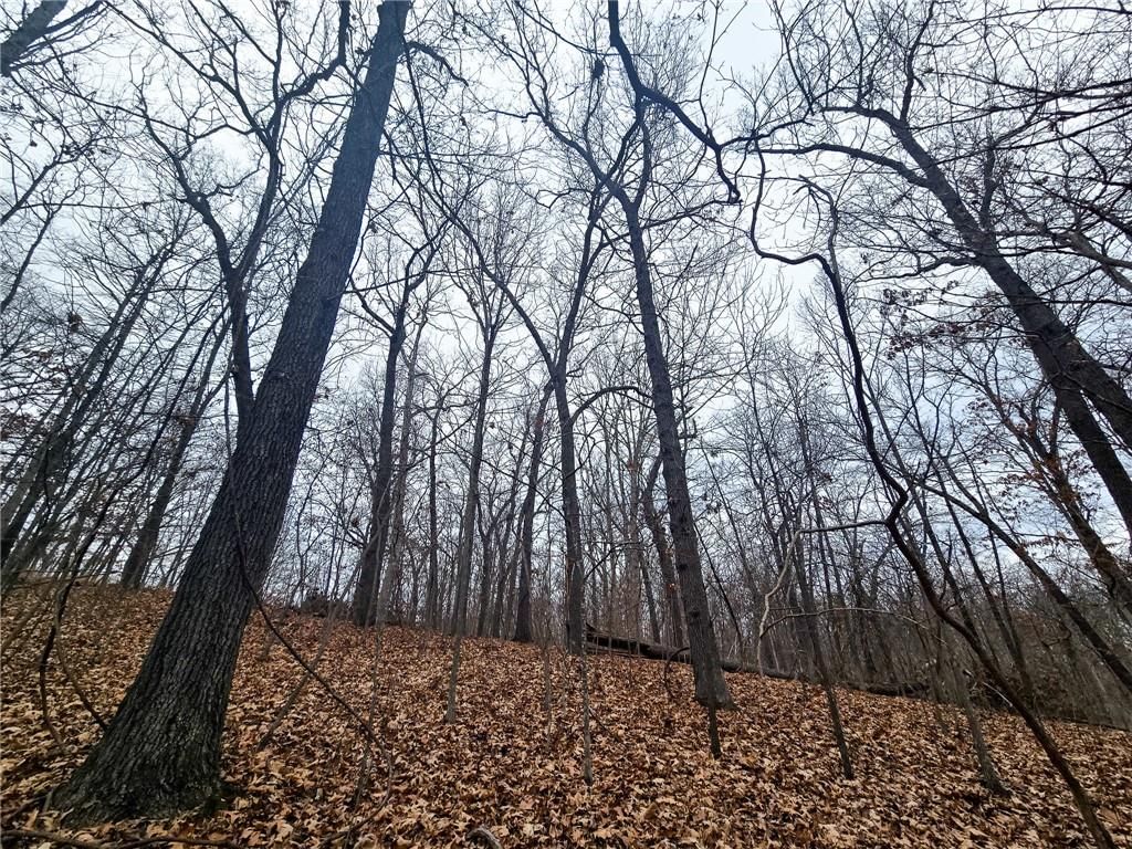 80 +/- Acres Proctor Lane — photo 15