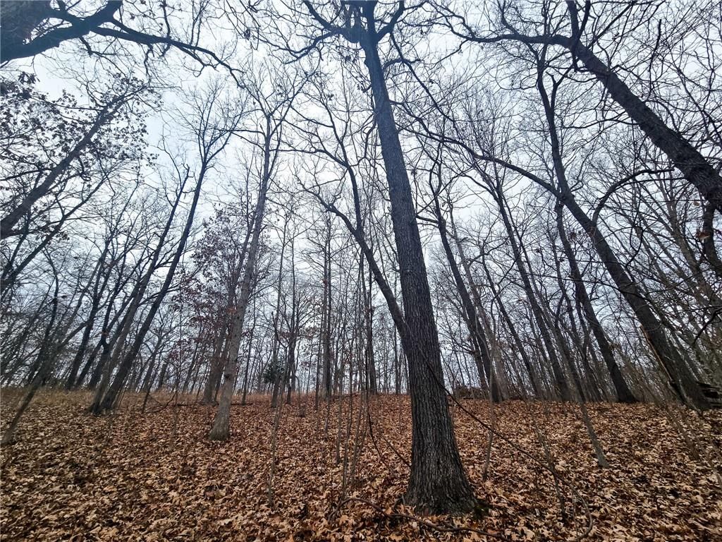 80 +/- Acres Proctor Lane — photo 16