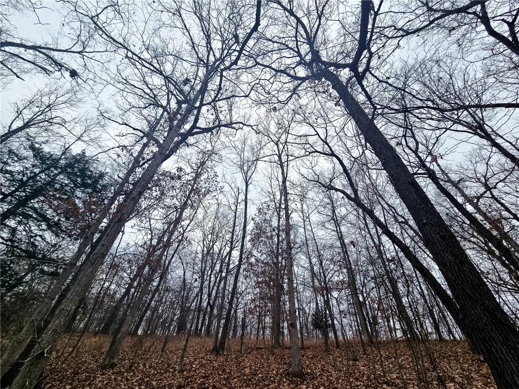 80 +/- Acres Proctor Lane — photo 17