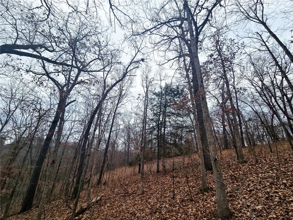 80 +/- Acres Proctor Lane — photo 18