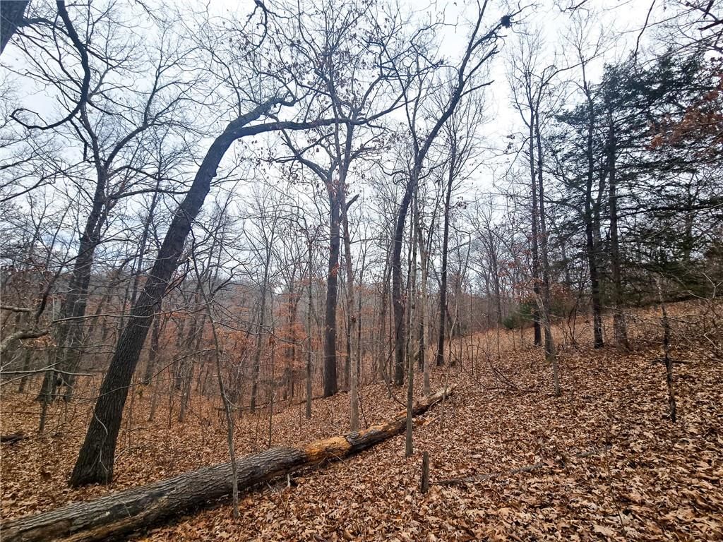 80 +/- Acres Proctor Lane — photo 19