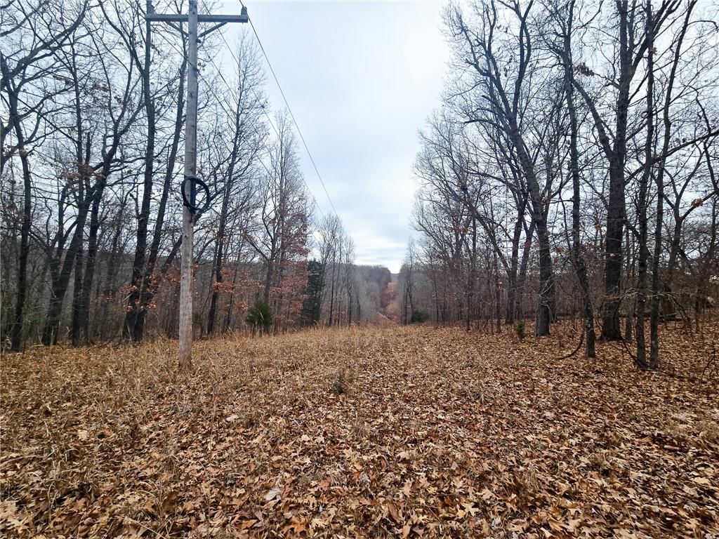 80 +/- Acres Proctor Lane — photo 20