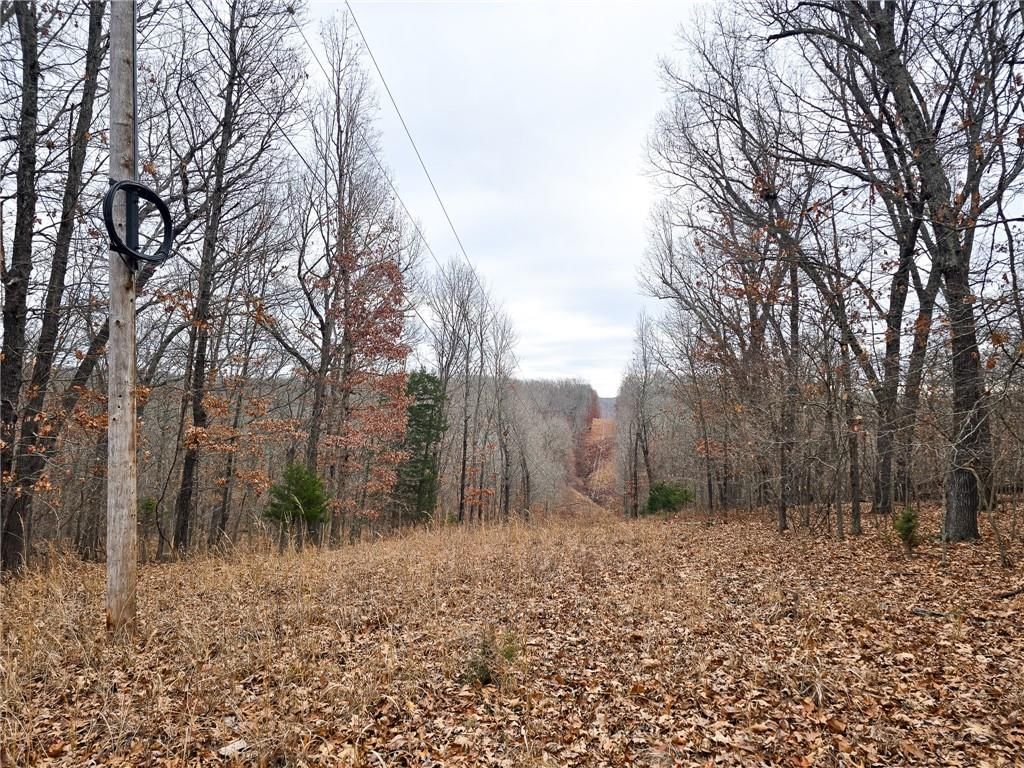 80 +/- Acres Proctor Lane — photo 21