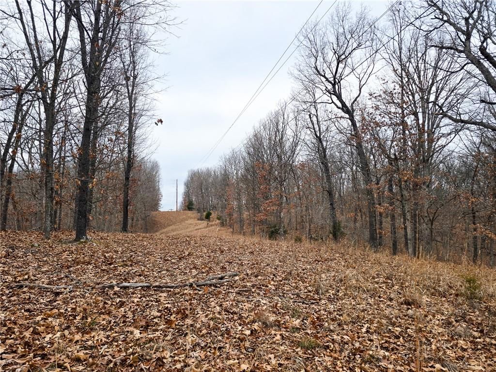 80 +/- Acres Proctor Lane — photo 22