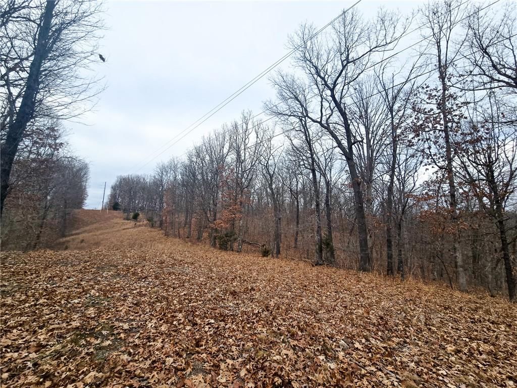 80 +/- Acres Proctor Lane — photo 23