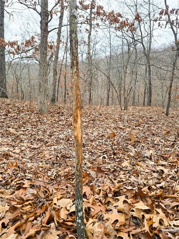 80 +/- Acres Proctor Lane — photo 24