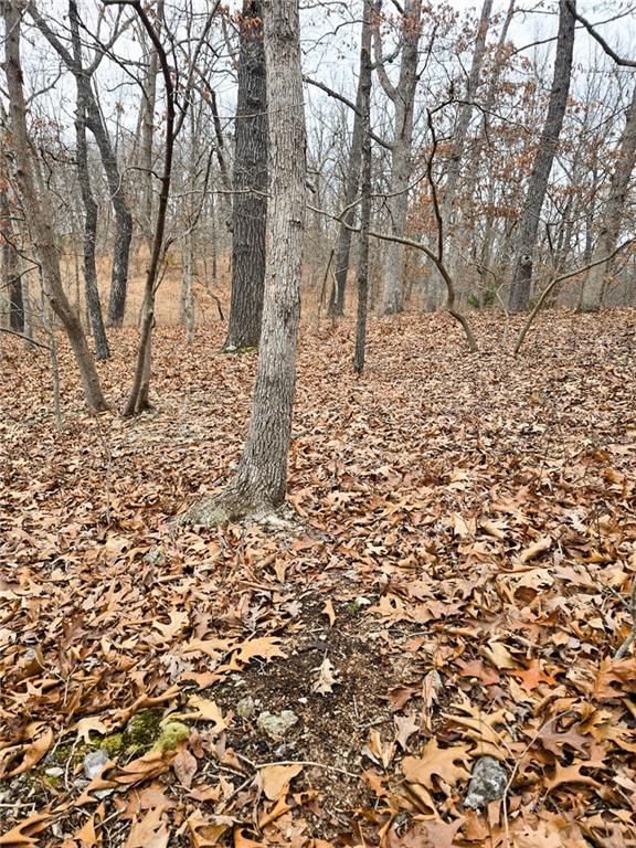 80 +/- Acres Proctor Lane — photo 25