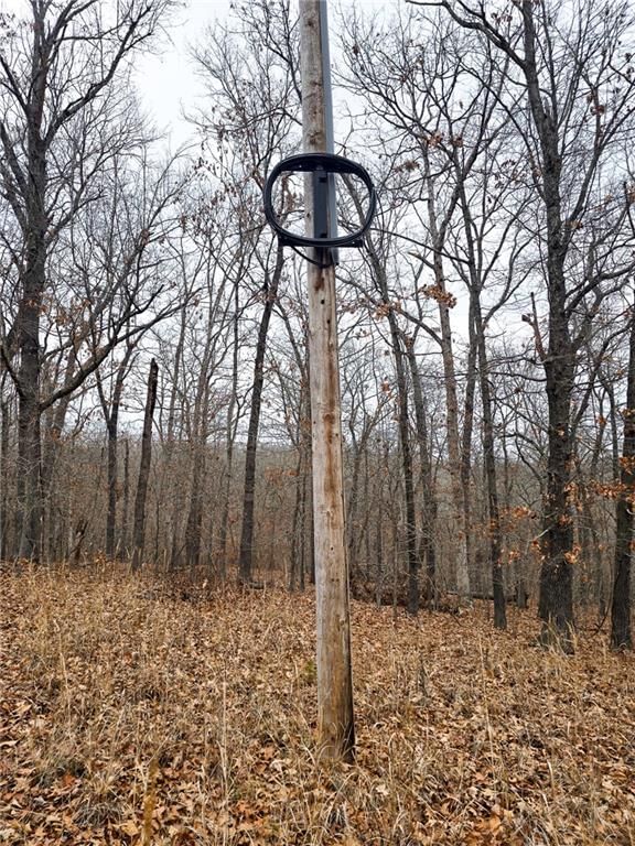 80 +/- Acres Proctor Lane — photo 26