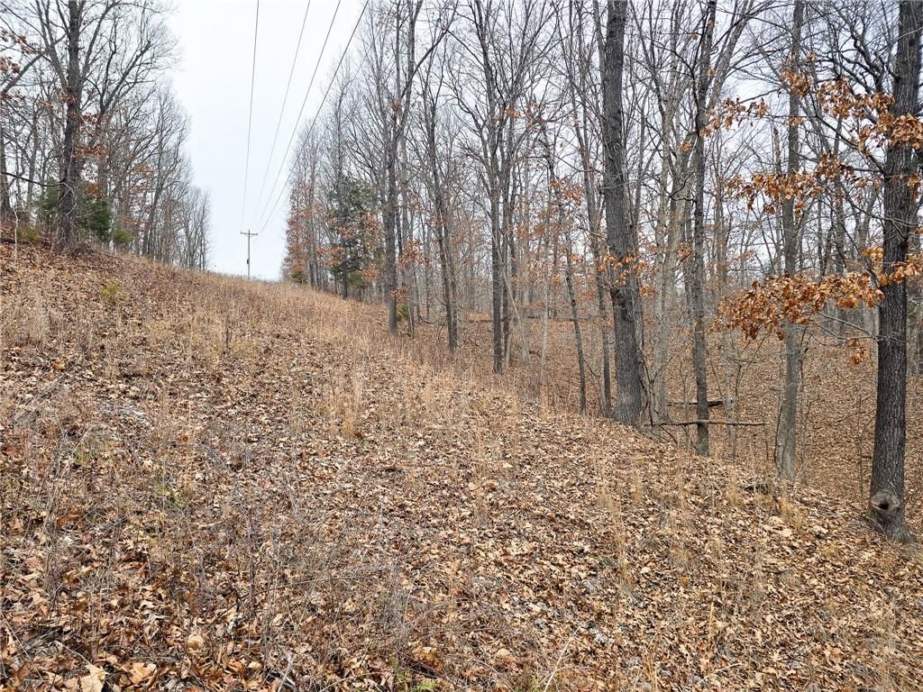 80 +/- Acres Proctor Lane — photo 27