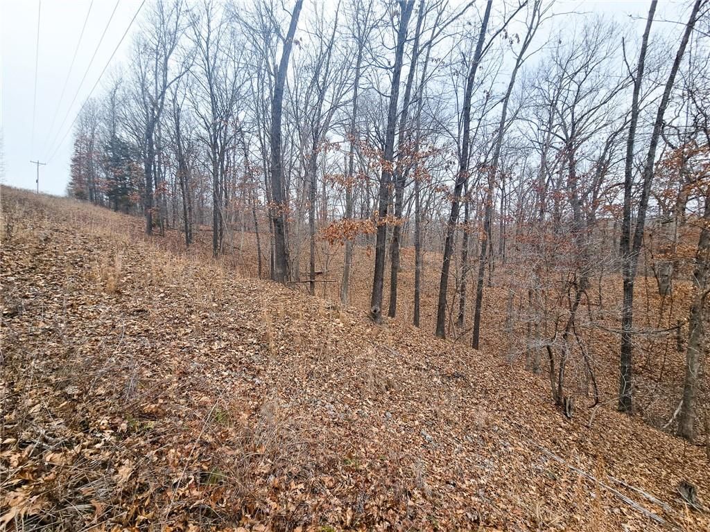 80 +/- Acres Proctor Lane — photo 28
