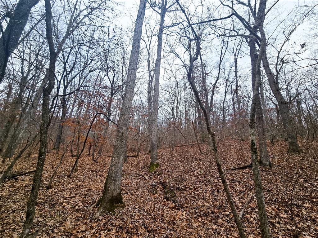80 +/- Acres Proctor Lane — photo 29