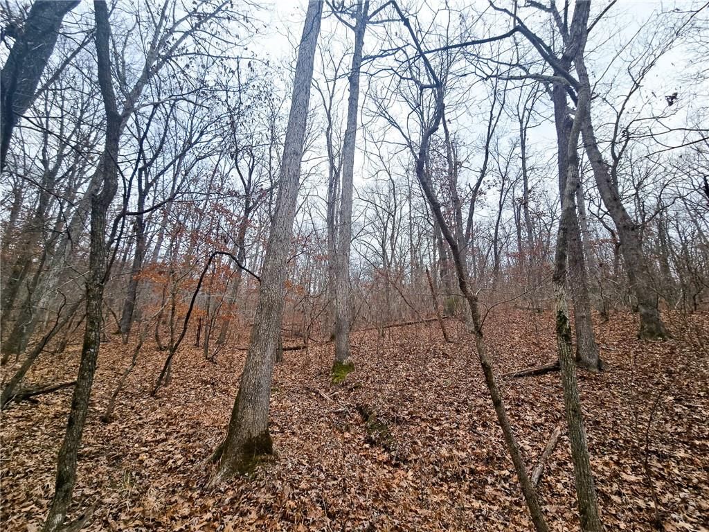 80 +/- Acres Proctor Lane — photo 30