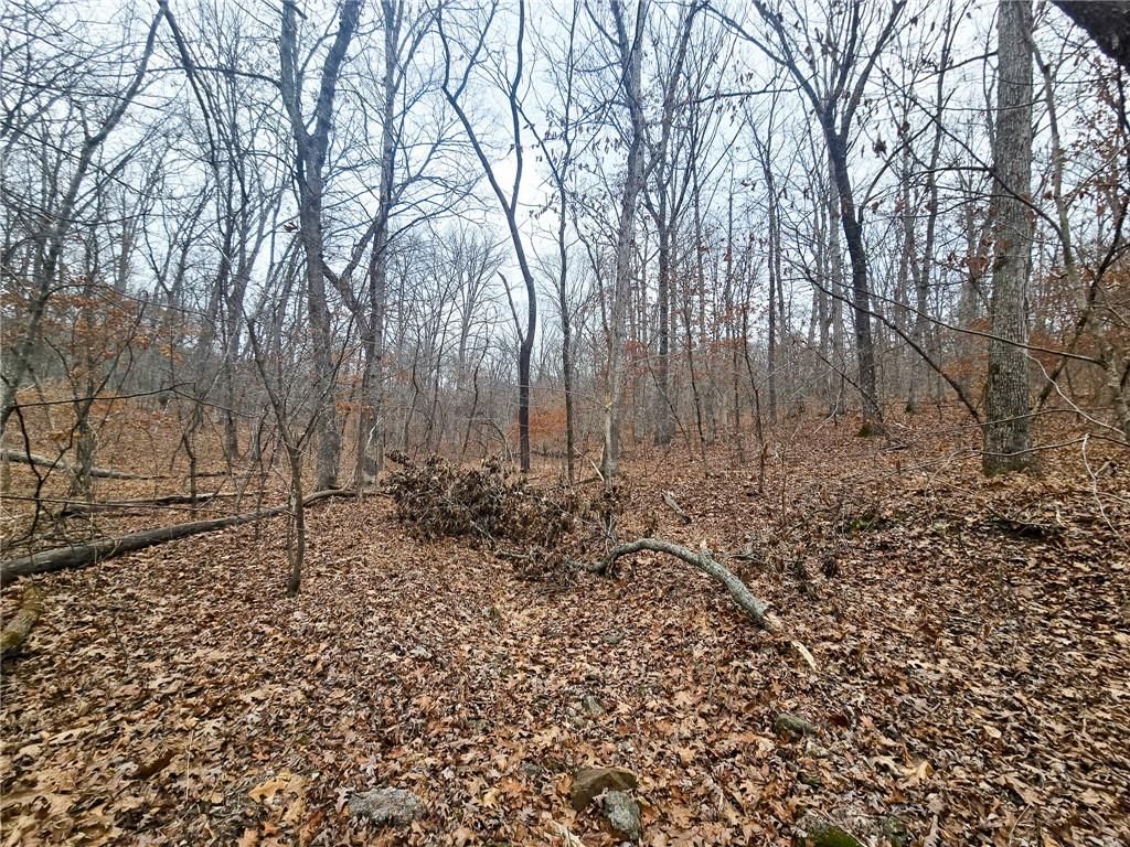 80 +/- Acres Proctor Lane — photo 31